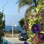 4 bedroom detached house for sale tochni larnaca 1340855 thumbnail 13151779