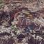 land for sale asgata limassol 1627855 thumbnail 15004583