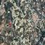 land for sale koilani limassol 8003855 thumbnail 15596295