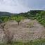 land for sale tsada paphos 8529855 thumbnail 15457858
