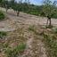 land for sale tsada paphos 8529855 thumbnail 15457859