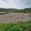 land for sale tsada paphos 8529855 thumbnail 15457860