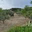 land for sale tsada paphos 8529855 thumbnail 15457862