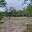 land for sale tsada paphos 8529855 thumbnail 15457863
