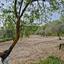 land for sale tsada paphos 8529855 thumbnail 15457865