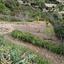 land for sale tsada paphos 8529855 thumbnail 15457866