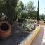 3 bedroom detached house for sale aphrodite hills paphos 7739955 thumbnail 12580953
