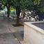 plot for sale tsirion limassol 8301955 thumbnail 14085010