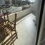 2 bedroom apartment for rent agios tychonas limassol 8608165 thumbnail 15789197