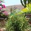4 bedroom detached house for sale troulloi larnaca 855165 thumbnail 5398155