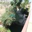 4 bedroom detached house for sale troulloi larnaca 855165 thumbnail 5398201