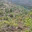 land for sale agios therapon limassol 7452165 thumbnail 15597482