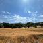 land for sale agios tychonas limassol 1831165 thumbnail 15297878