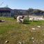 2 bedroom detached house for sale asgata limassol 1752265 thumbnail 13469377