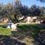 2 bedroom detached house for sale asgata limassol 1752265 thumbnail 13469378