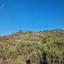 land for sale dora limassol 8926265 thumbnail 17614354