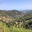 land for sale gerakies nicosia 8716265 thumbnail 16295814