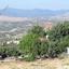 plot for sale koili paphos 618265 thumbnail 302408