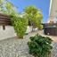 1 bedroom ground floor apartment for rent kato paphos universal paphos 8903365 thumbnail 17619358