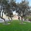 4 bedroom detached house for rent moni limassol 8908365 thumbnail 18130559