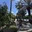 5 bedroom detached house for rent pyrgos limassol limassol 8692365 thumbnail 17264632