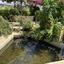 5 bedroom detached house for rent pyrgos limassol limassol 8692365 thumbnail 17264643