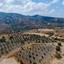land for sale episkopi pafou paphos 1887365 thumbnail 15597543