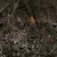land for sale eptagoneia limassol 1735365 thumbnail 5713270