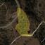 land for sale eptagoneia limassol 1735365 thumbnail 5713271