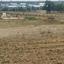land for sale nisou nicosia 1098365 thumbnail 16180135