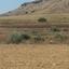 land for sale nisou nicosia 1098365 thumbnail 16180137