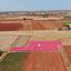 land under offer avgorou famagusta 1603365 thumbnail 15666446