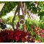 studio office for rent agia fyla limassol 8716365 thumbnail 16297657