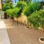 3 bedroom bungalow for sale souni zanakia limassol 8908465 thumbnail 17404231