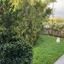 3 bedroom detached house for sale mazotos larnaca 1652465 thumbnail 16123004