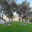 4 bedroom detached house for rent moni limassol 8833465 thumbnail 17004145