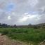 plot for sale tremithousa paphos 8249465 thumbnail 13880893