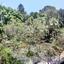studio office for rent limassol municipality limassol 7921465 thumbnail 16231954