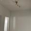 2 bedroom apartment for rent pallouriotissa nicosia 8936565 thumbnail 17642342
