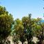 3 bedroom apartment for sale agios tychonas limassol 7739565 thumbnail 12575558