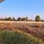 4 bedroom detached house for sale pano deftera nicosia 1493565 thumbnail 6451926