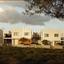 4 bedroom detached house for sale strovolos nicosia 1602565 thumbnail 14853012