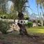 5 bedroom detached house for rent parekklisia limassol 1341565 thumbnail 14868974