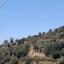 land for sale eledio paphos 826565 thumbnail 16009078