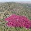 land for sale kapedes nicosia 8629565 thumbnail 15868969