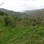 land for sale pentalia paphos 8630565 thumbnail 16278032