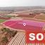 land sold potamos liopetriou famagusta 1182565 thumbnail 3555287
