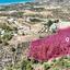 land for sale agia marina chrysochous paphos 1897665 thumbnail 14207251