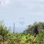 land for sale peyia paphos 1504665 thumbnail 16415700
