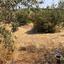 land for sale peyia paphos 1504665 thumbnail 16415702